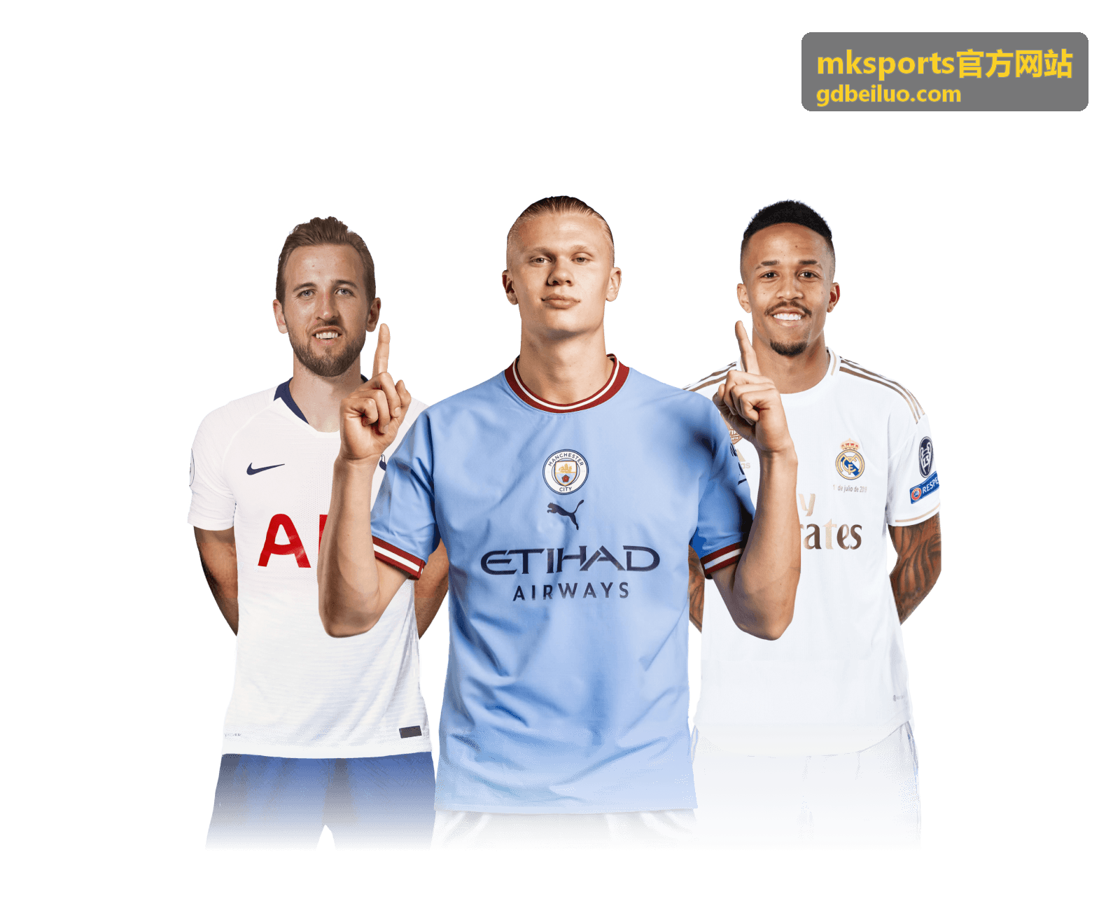 mksports官方网站账户安全与登录设备管理示意