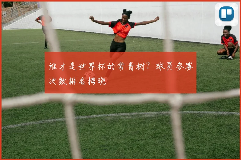 谁才是世界杯的常青树？球员参赛次数排名揭晓