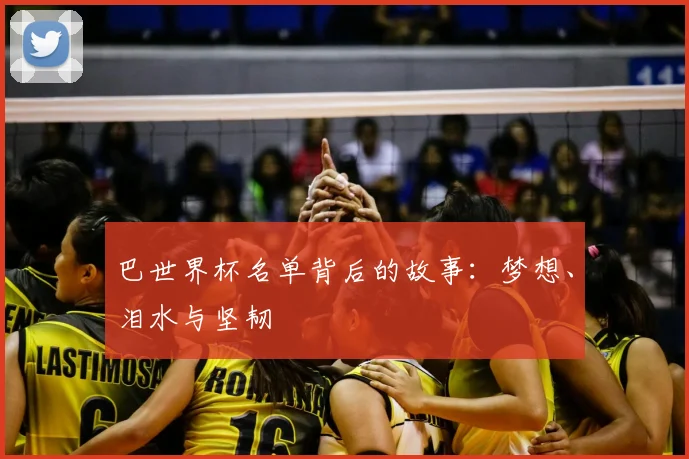 巴世界杯名单背后的故事：梦想、泪水与坚韧