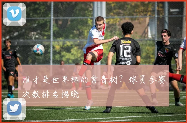 谁才是世界杯的常青树?球员参赛次数排名揭晓