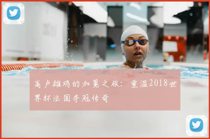 高卢雄鸡的加冕之旅：重温2018世界杯法国夺冠传奇