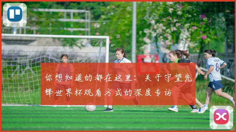 你想知道的都在这里：关于守望先锋世界杯观看方式的深度专访