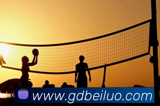 mksports登录入口发展历程